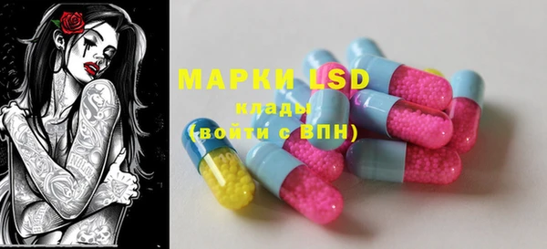 PSILOCYBIN Новозыбков
