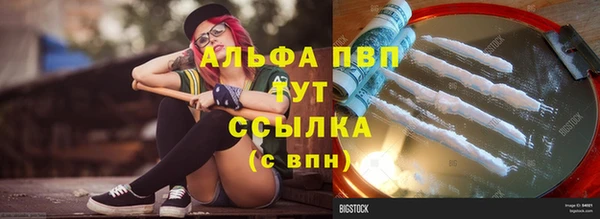 индика Новокубанск