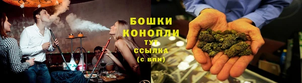 PSILOCYBIN Новозыбков