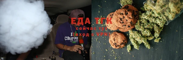 индика Новокубанск