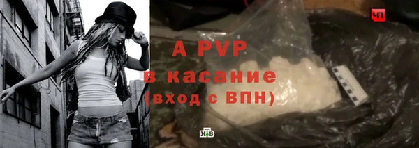 PSILOCYBIN Новозыбков
