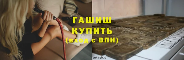 индика Новокубанск