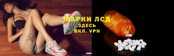 индика Новокубанск