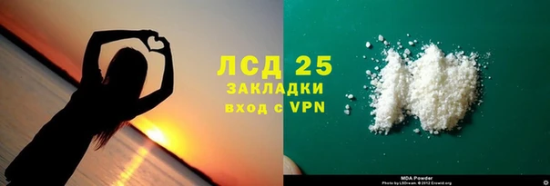 индика Новокубанск
