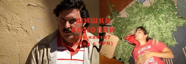 PSILOCYBIN Новозыбков