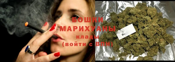 индика Новокубанск