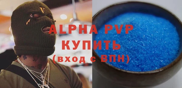 индика Новокубанск
