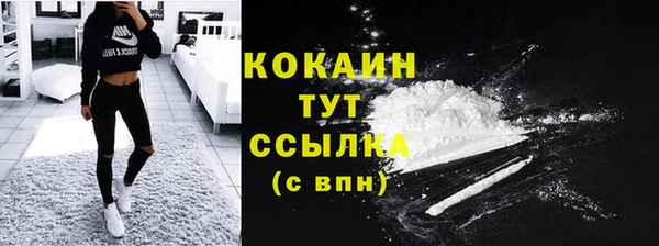PSILOCYBIN Новозыбков