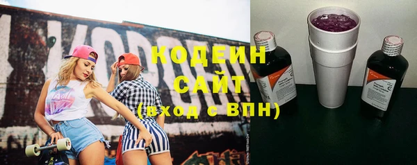 индика Новокубанск