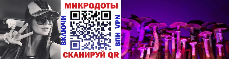 Псилоцибиновые грибы MAGIC MUSHROOMS  Нестеровская 